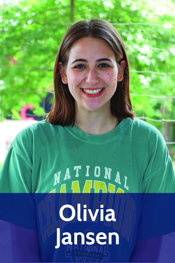 baylor-university-camp-war-eagle